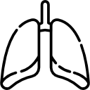 Lung Physiology Services